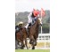  Carrera: P.G.P Howden Monta: V.Janacek Cuadra: C.Mare Nostrum